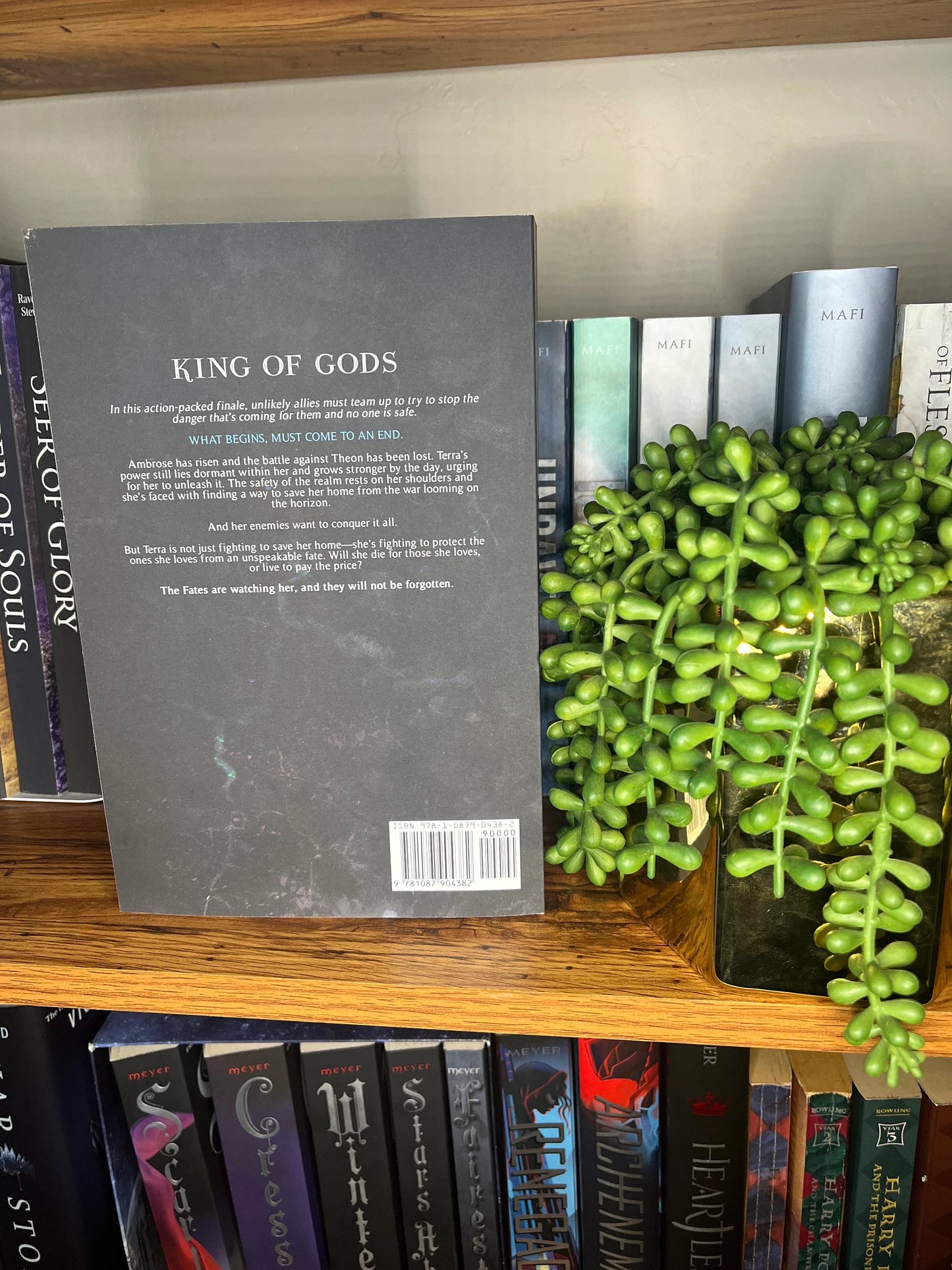 King of Gods Signed Paperback